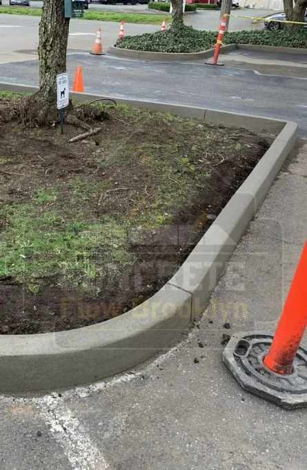 New concrete curb installed around a street tree bed in Brooklyn