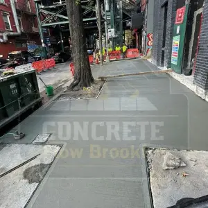 Replaced sidewalk around street tree beds on a Brooklyn commercial block