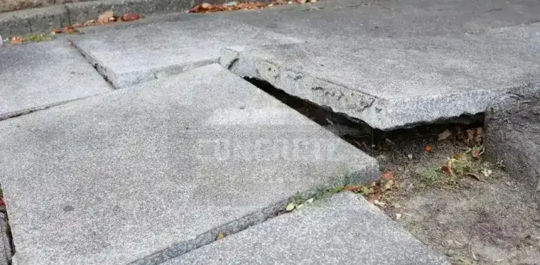 Cracked and raised sidewalk slabs that lead to NYC DOT violations