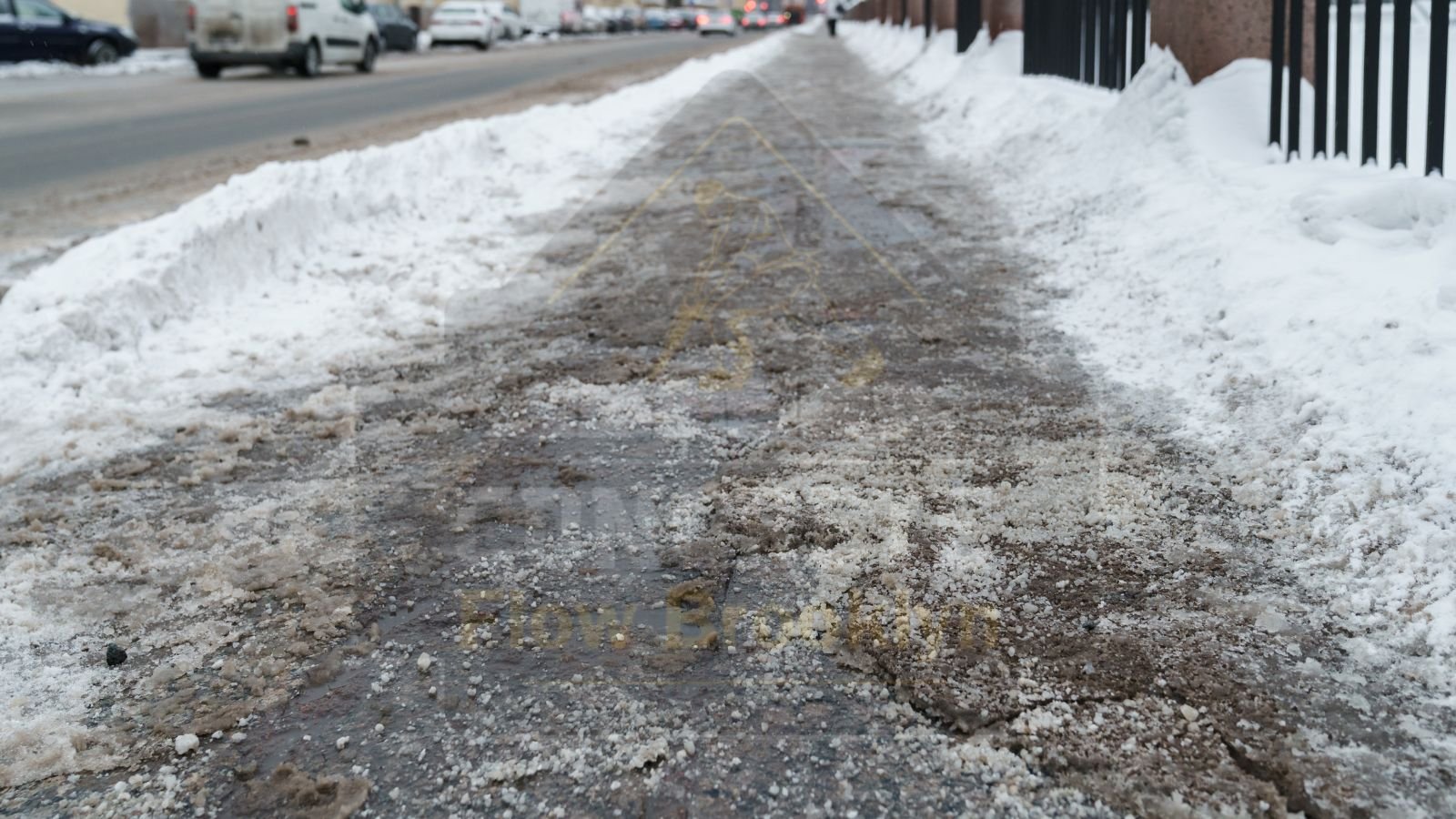 De-Icing Salt Damage on Concrete Sidewalk Cracks